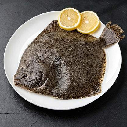 Frozen Whole Turbot Fish